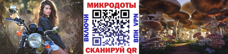 наркошоп  Игра  Псилоцибиновые грибы Psilocybe 