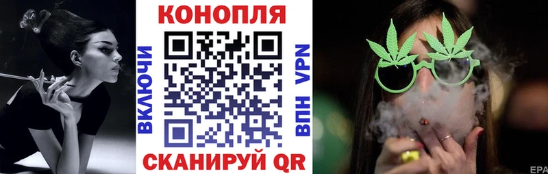 где купить наркотик  Игра  МАРИХУАНА ГИДРОПОН 